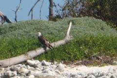 Gladden-Spit-2