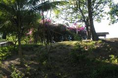 17-Farmyard-Cayo