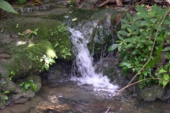 49-waterfall