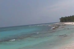 43-Half-Moon-Caye-3