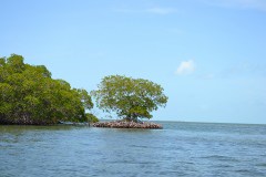 DSC_0125-Copy