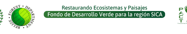 **CLOSED** Request for Expression of Interest for Consultancy Services to Carry out the initial baseline of factors of environmental monitoring (carbon sequestration, biodiversity connectivity index, etc.) under the “Restoring Degraded Lands within Key Areas of the Maya Mountain North Forest Reserve and Surrounding Buffer Zones” Project