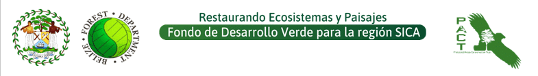 **CLOSED** Request for Expression of Interest: Project Assistant for the “Restoring Degraded Lands within Key Areas of the Maya Mountain North Forest Reserve and Surrounding Buffer Zones” Project