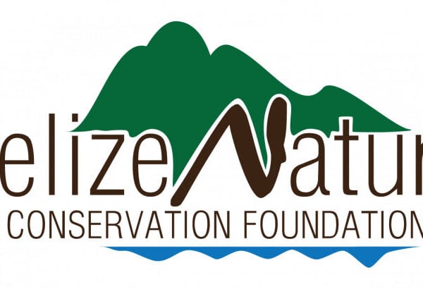 2021 Call for Proposals