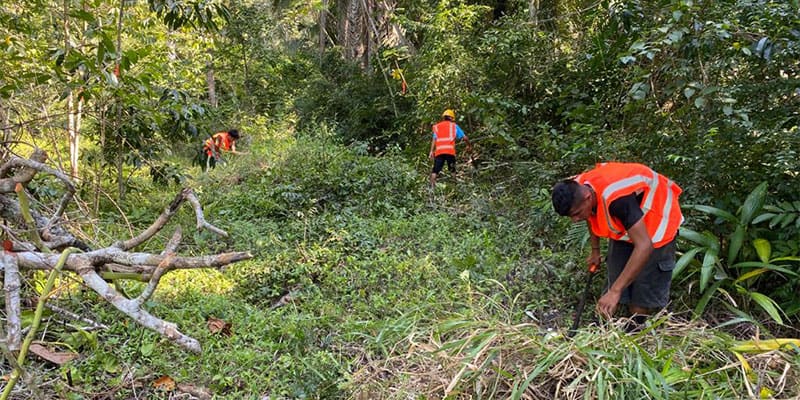 Tapir Mountain Management and Sustainability Plan