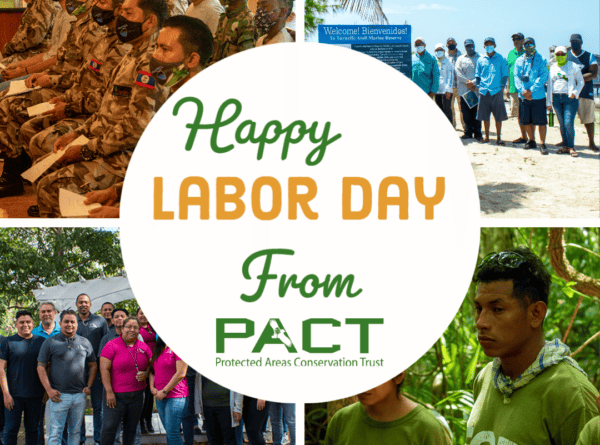 Celebrating Labor Day