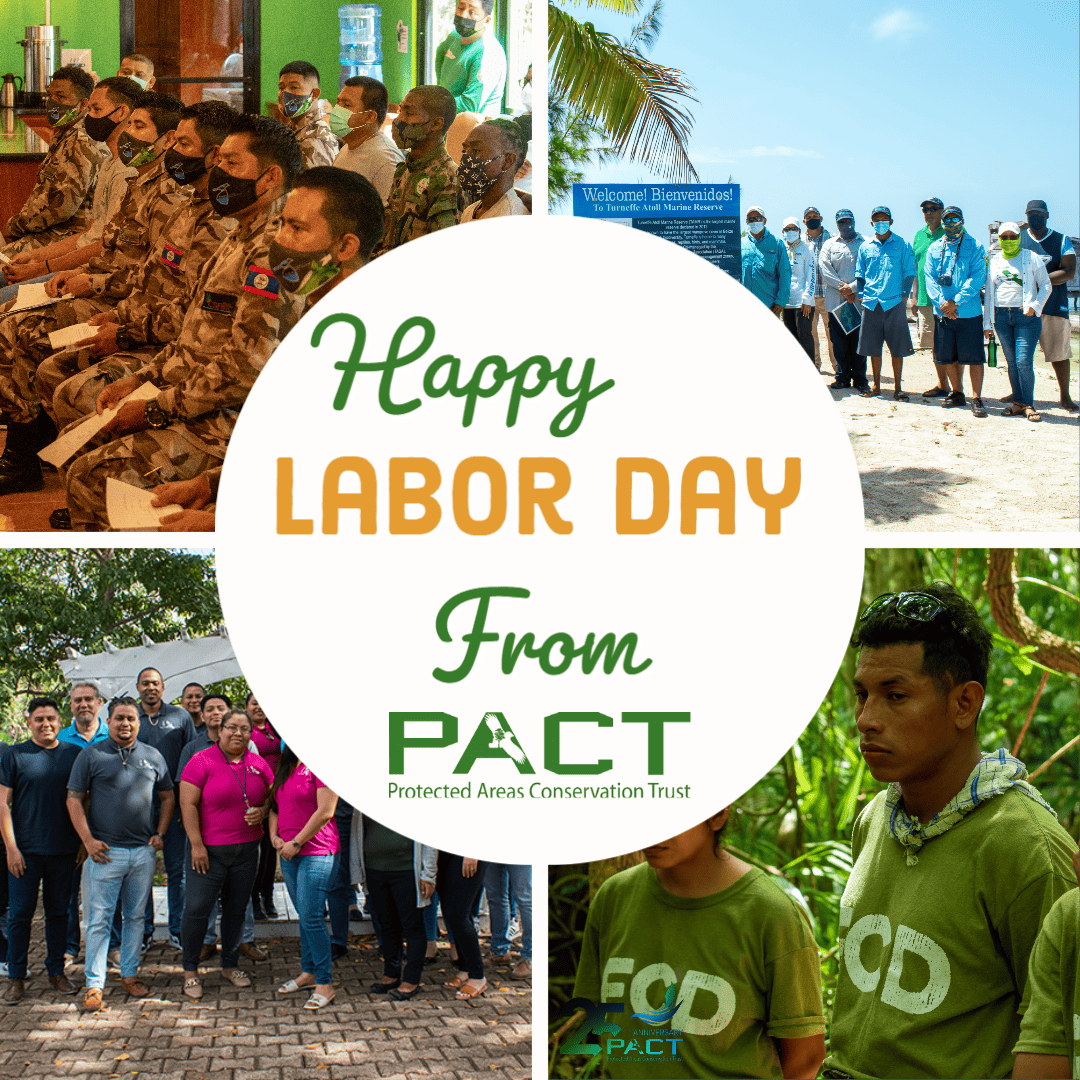 Celebrating Labor Day