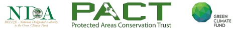 ***CLOSED*** Call For Expression of Interest for Consultancy Services to support Capacity Development of the National Designated Authority and the Belize National Climate Change Council