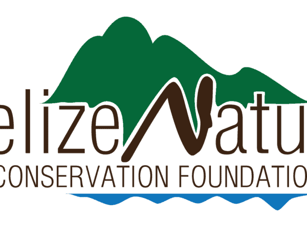 BNCF 2024 CALL FOR PROPOSALS