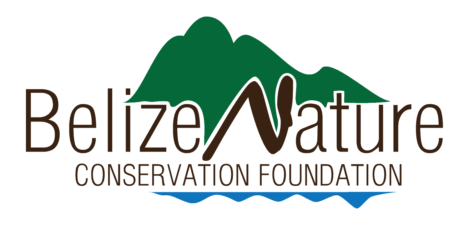 BNCF 2024 CALL FOR PROPOSALS