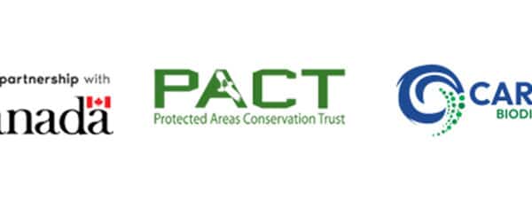 ***CLOSED*** Call for Expression of Interest – GENDER INTEGRATION PROJECT COORDINATOR