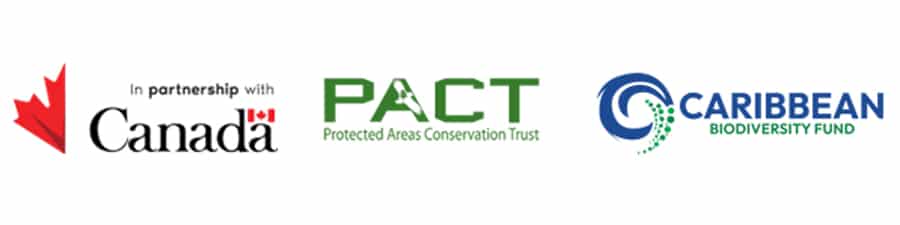 ***CLOSED*** Call for Expression of Interest – GENDER INTEGRATION PROJECT COORDINATOR