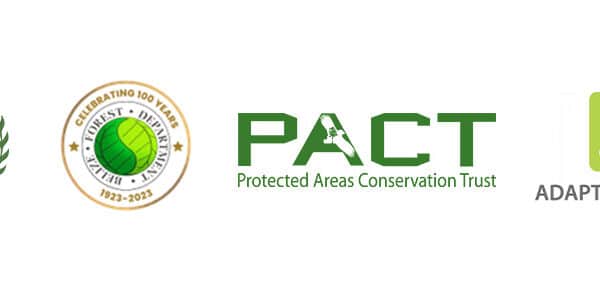 ***CLOSED*** Call for Expression of Interest – Consultancy Services for the Forest Department for the sub-project “Strengthening Fire Management for a Resilient Belize”
