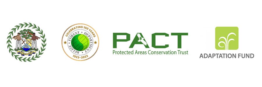 ***CLOSED*** Call for Expression of Interest – Consultancy Services for the Forest Department for the sub-project “Strengthening Fire Management for a Resilient Belize”