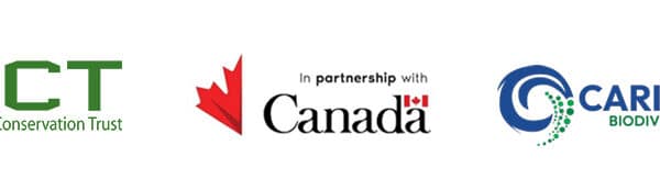 REQUEST FOR PROPOSALS — Gender Smart Facility (GSF) Grants