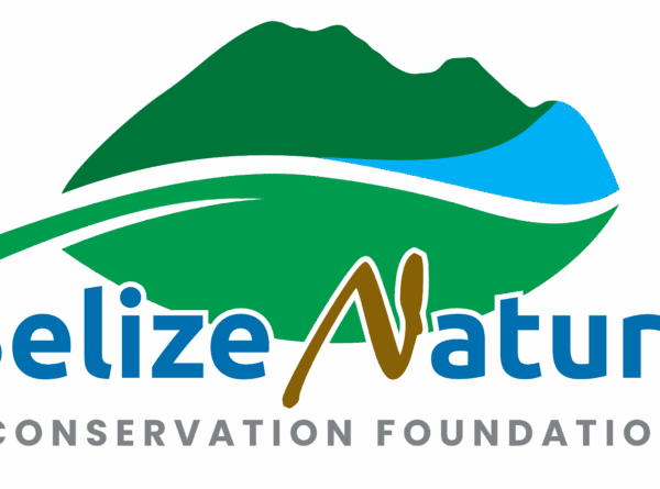 ***CLOSED*** BNCF 2025 CALL FOR PROPOSALS