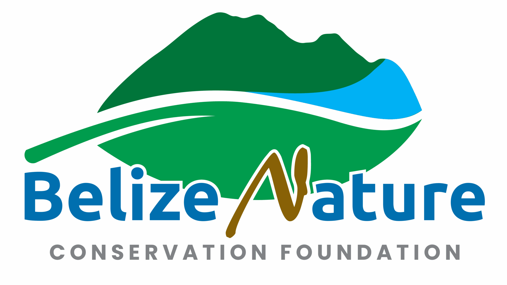 ***CLOSED*** BNCF 2025 CALL FOR PROPOSALS