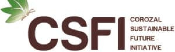 CSFI-Logo-300x120