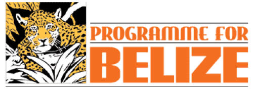 logo-programmeforbelize